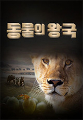 동물의 왕국